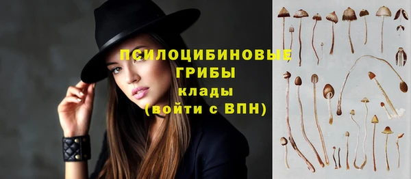 mix Арсеньев