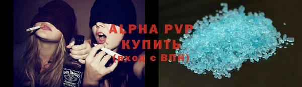 шишки Аркадак