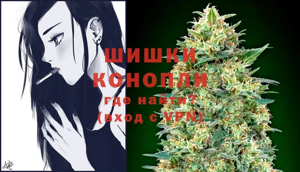шишки Аркадак
