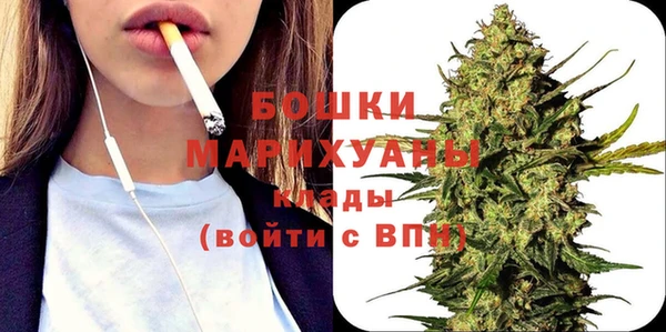 шишки Аркадак