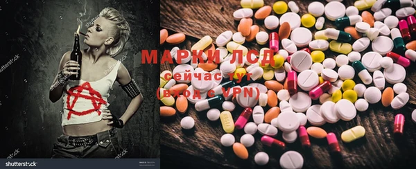 PSILOCYBIN Армянск