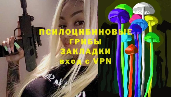 хмурый Порхов