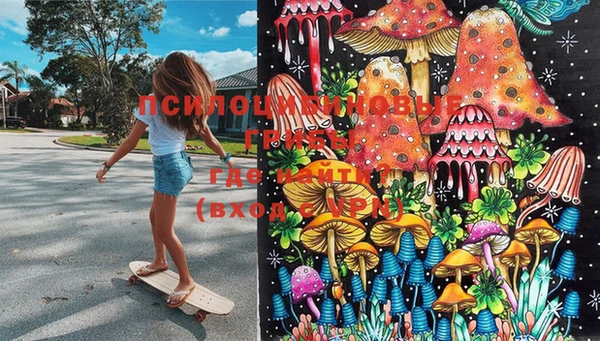 PSILOCYBIN Армянск