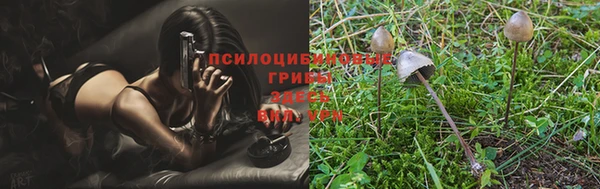 PSILOCYBIN Армянск