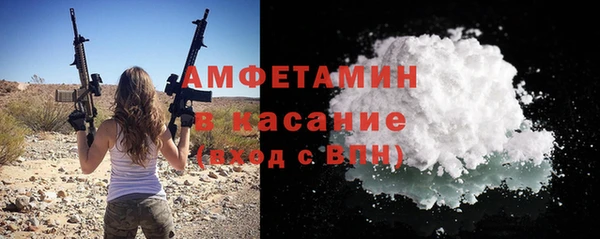 шишки Аркадак