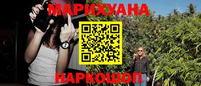 сатива Сланцы