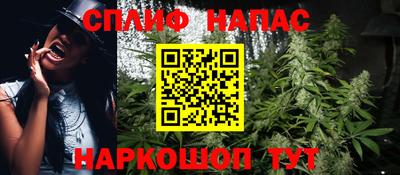 сатива Сланцы