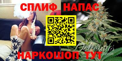 Альфа ПВП Славгород