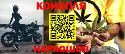 сатива Сланцы