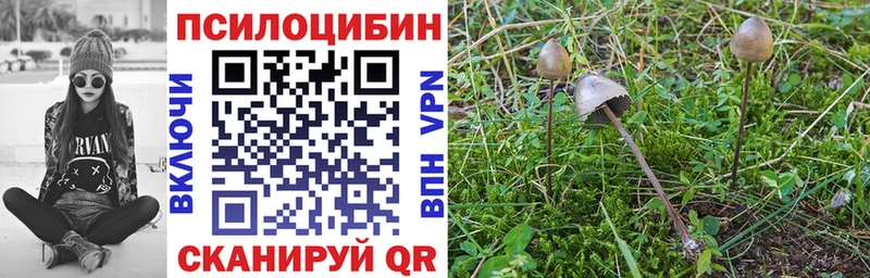 Галлюциногенные грибы прущие грибы  Саянск 
