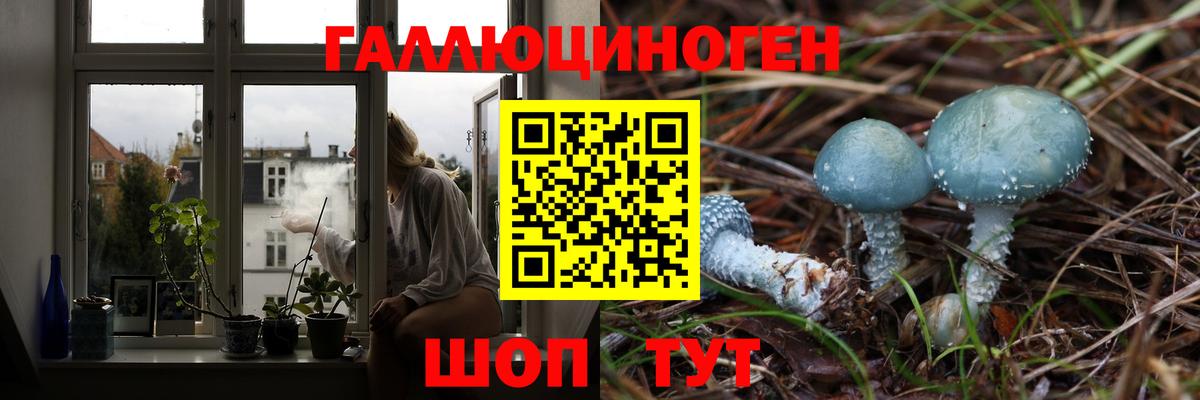 Галлюциногенные грибы MAGIC MUSHROOMS  Вход с VPN  Саянск 