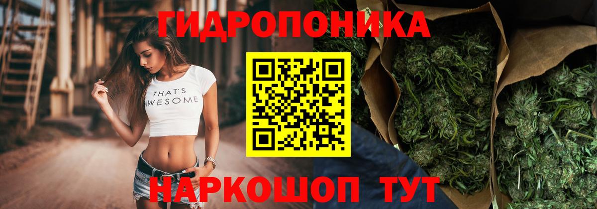 Саянск  Марихуана план  Канабис сатива  Вход с VPN 